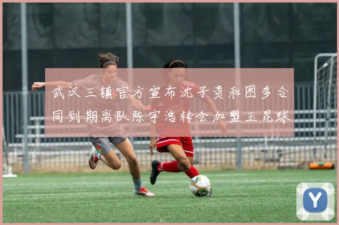 武汉三镇官方宣布沈子贵和图多合同到期离队陈宇浩转会加盟玉昆球队